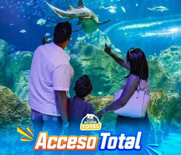 Acceso Total