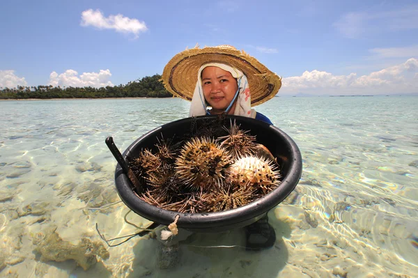 SEMPORNA, MALASIA - 6 DE MARZO DE 2015: Mujer bajau no identificada con sus peces globo en Semporna, Malasia. Bajau la gente come pez globo como uno de su cocina deliciosa tradicional . Fotos De Stock Sin Royalties Gratis