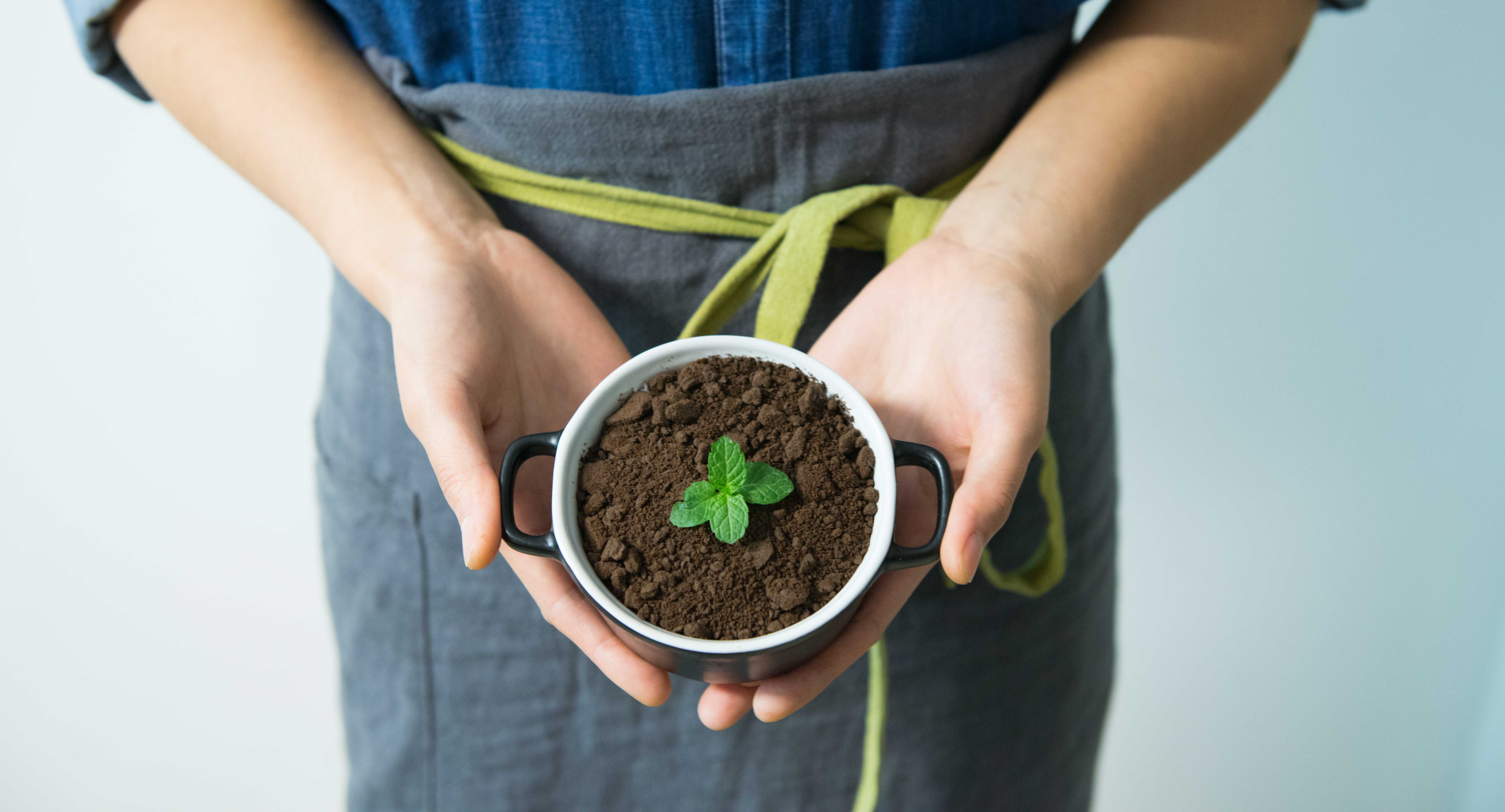 Gratis Persona Sosteniendo Taza Con Planta Verde Foto de stock