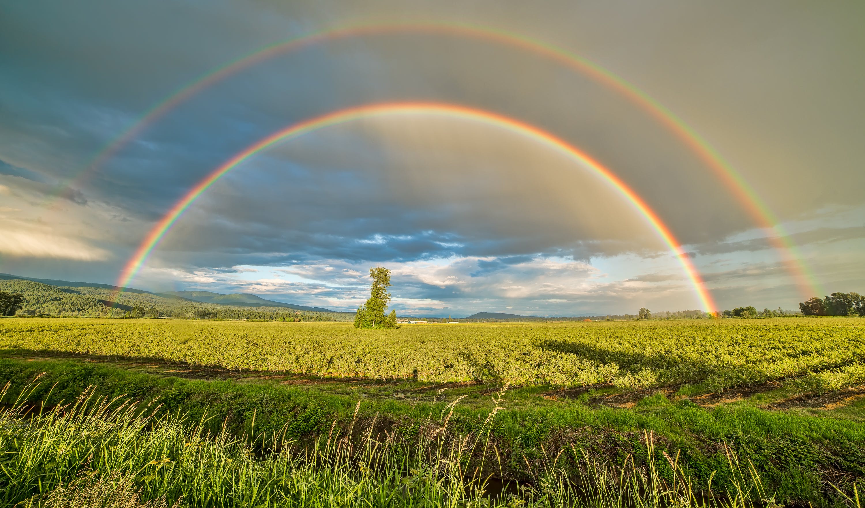 Gratis Campo De Cultivo Bajo El Arco Iris Y Cielos Nublados Durante El Día Foto de stock