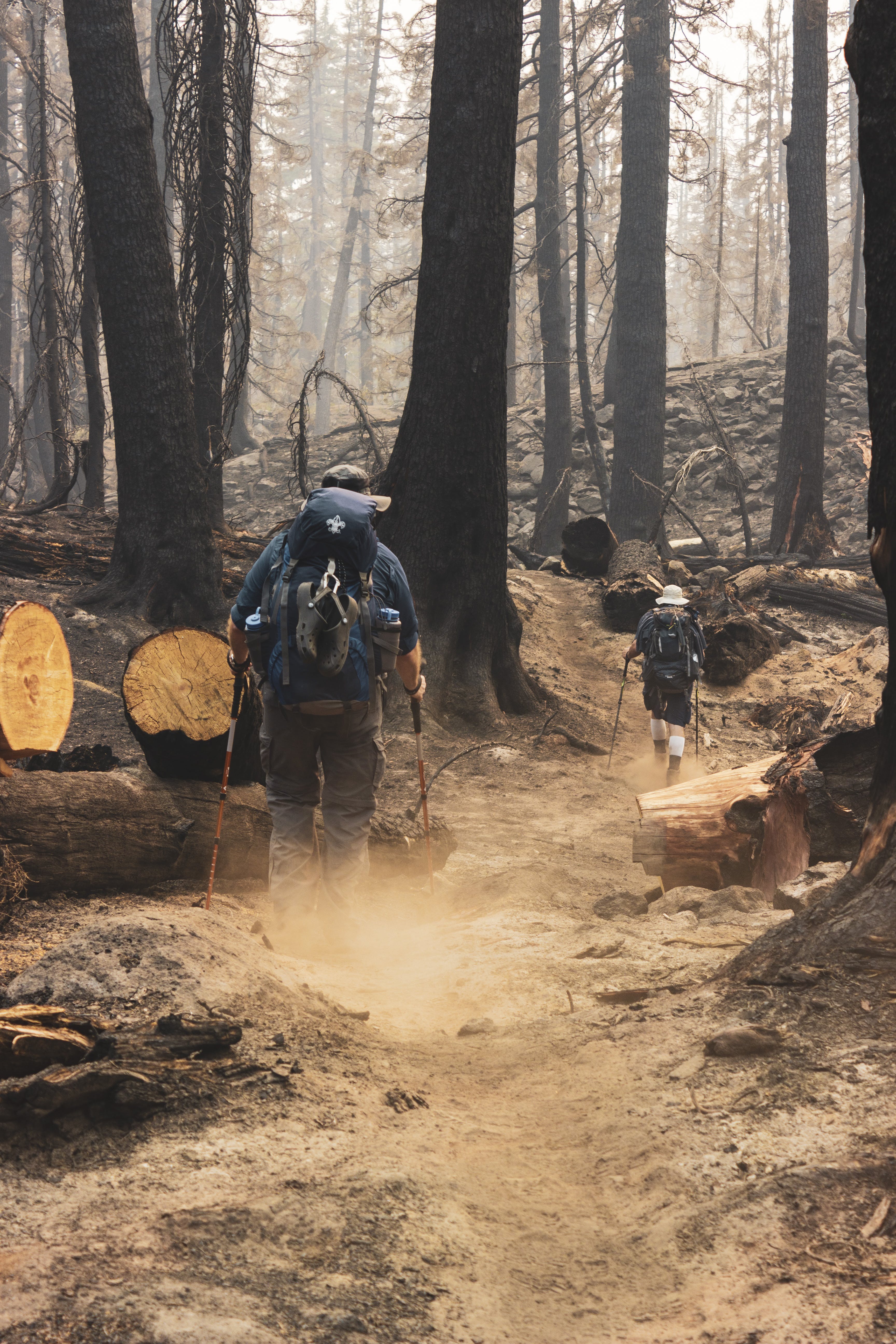 Gratis Hombre Sujetando Detectores De Metales Caminando Por El Bosque Durante El Día Foto de stock