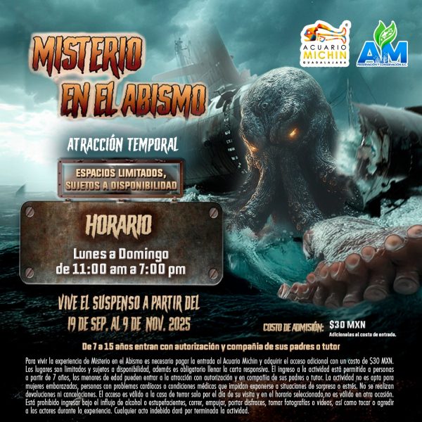 Misterio en el Abismo