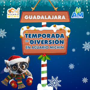 Acceso Total 05:00 - 05:59 pm 23 de Diciembre 2025 Gdl