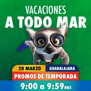 Acceso Total 09:00 - 09:59 am 28 de marzo 2026 Gdl