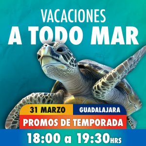 Acceso Total 06:00 - 07:30 pm 31 de marzo 2026 Gdl