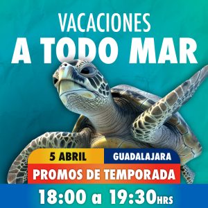 Acceso Total 06:00 - 07:30 pm 05 de abril 2026 Gdl
