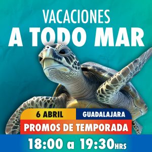 Acceso Total 06:00 - 07:30 pm 06 de abril 2026 Gdl