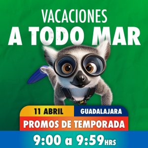 Acceso Total 09:00 - 09:59 am 11 de abril 2026 Gdl