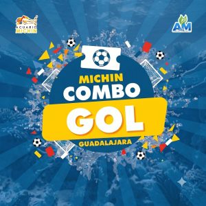 Acceso GOL